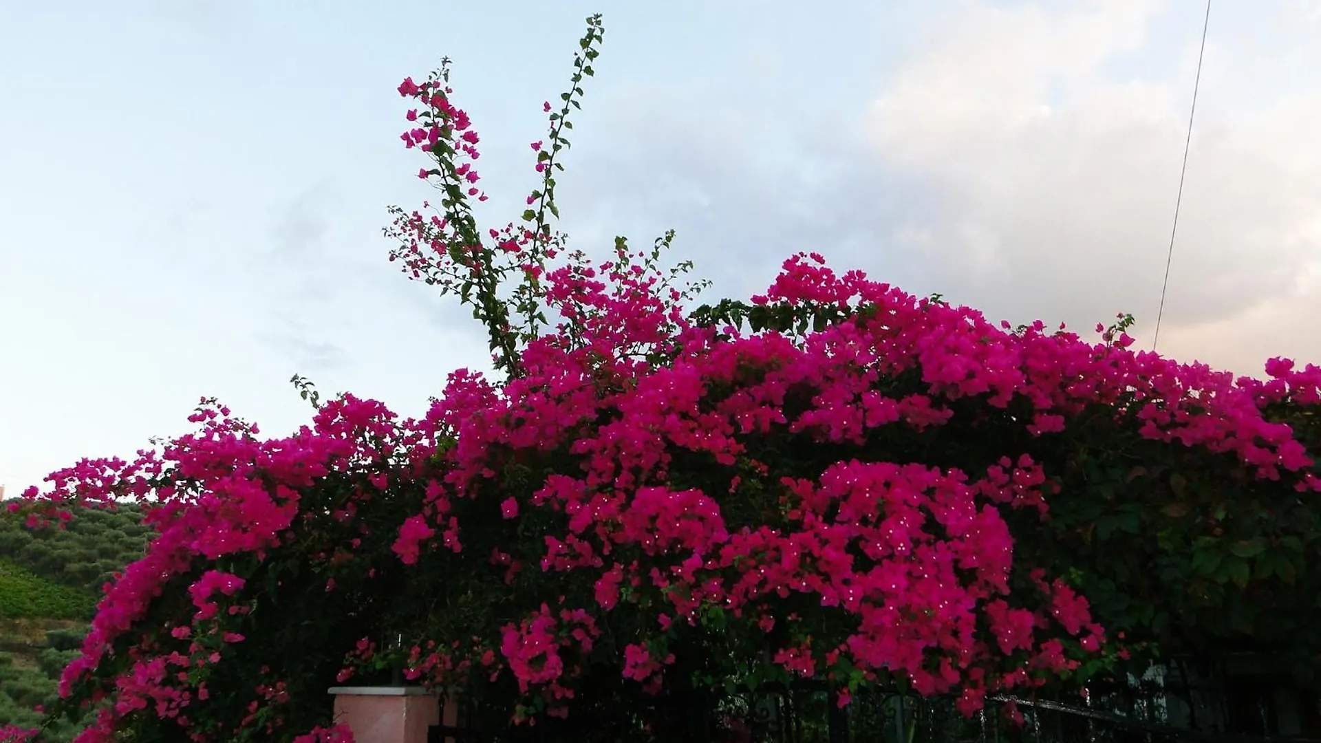 Apartment Filip'S Cottage Vasiliai Greece